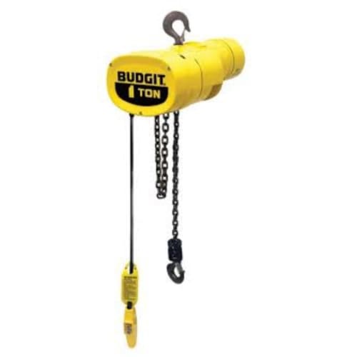 Budgit Series 2200 Air Hoist - 1 Ton - The Lifting Superstore - CM