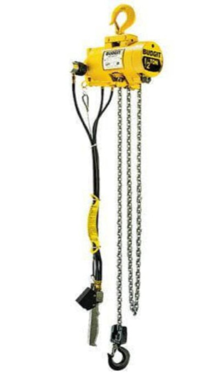Budgit Series 2200 Air Hoist - 1/2 Ton - The Lifting Superstore - CM